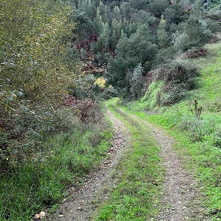 A Casinha בית הארחה 3*