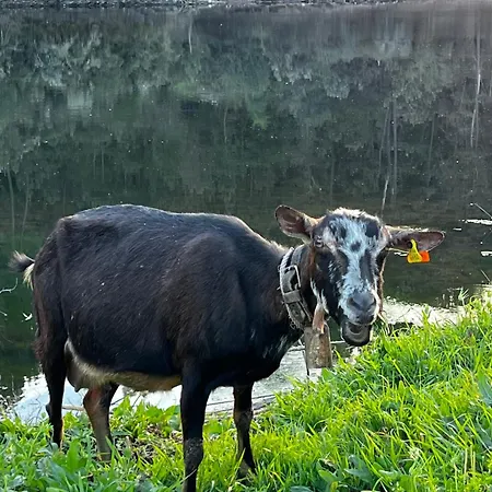 A Casinha 3* Carreira do Mato