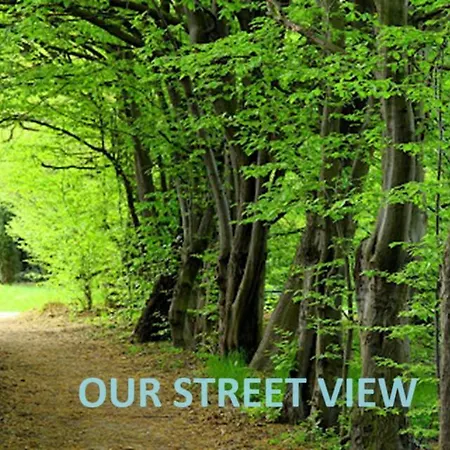 A Casinha Carreira do Mato