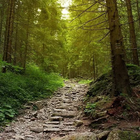 A Casinha 3* Carreira do Mato