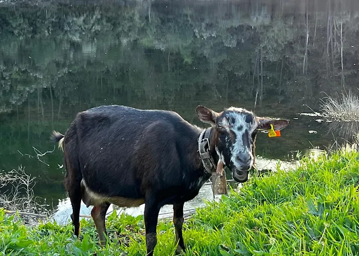 A Casinha 3* Carreira do Mato