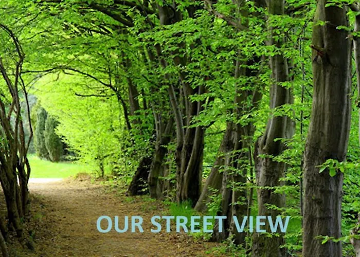 A Casinha Carreira do Mato