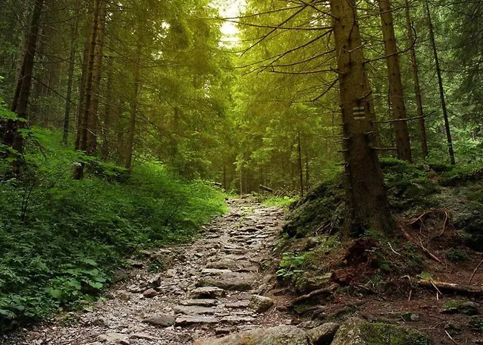 A Casinha 3* Carreira do Mato